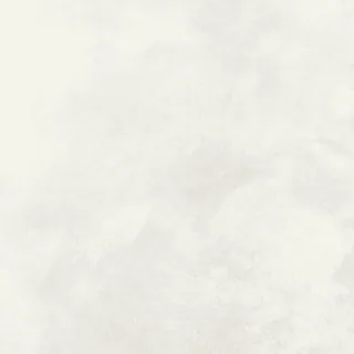 N1