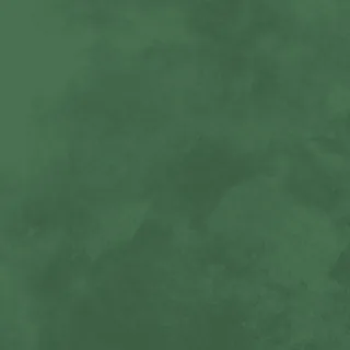 N42