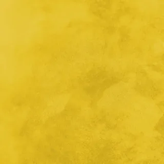 N44