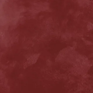 N45